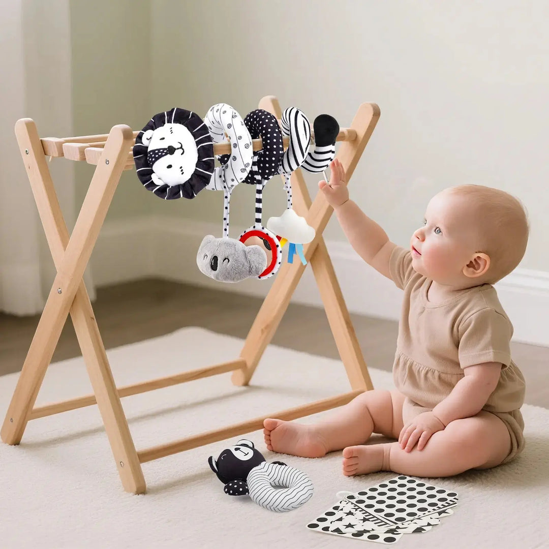 Sensory Toys