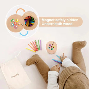 Wooden Color Matching Toy