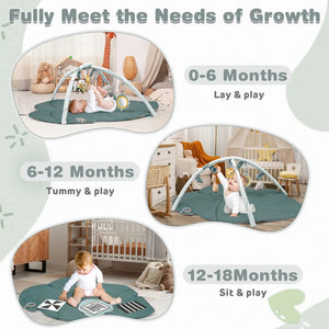 6-Toy Sensory Tummy Time Mat for Newborns 0–6M
