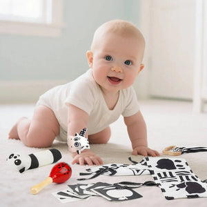 Black & White Sensory Toys for Newborns 0-6M