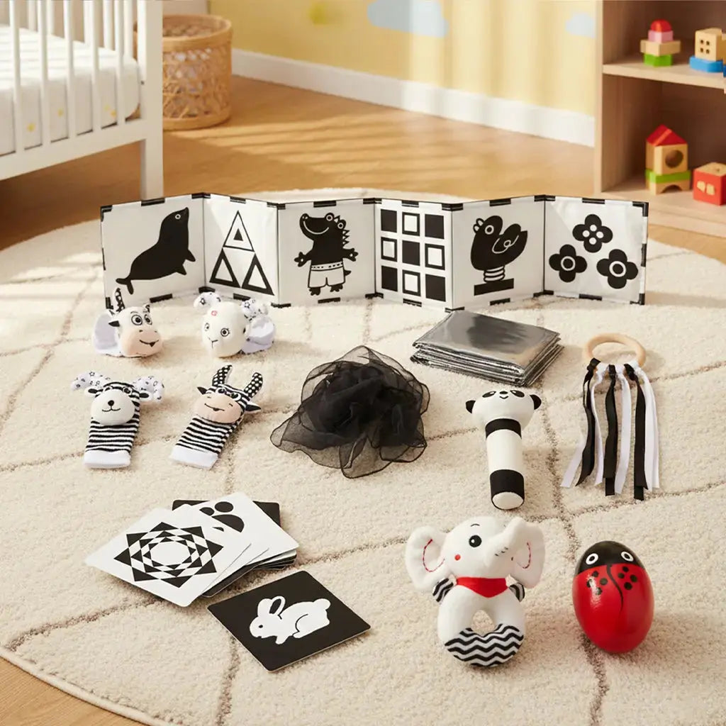 Black & White Sensory Toys for Newborns 0-6M