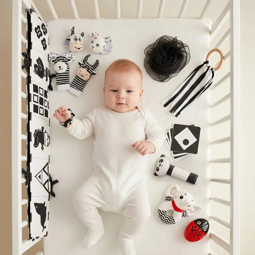 Black & White Sensory Toys for Newborns 0-6M