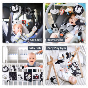 High Contrast Car Seat Sensory Baby Toys for Newborn